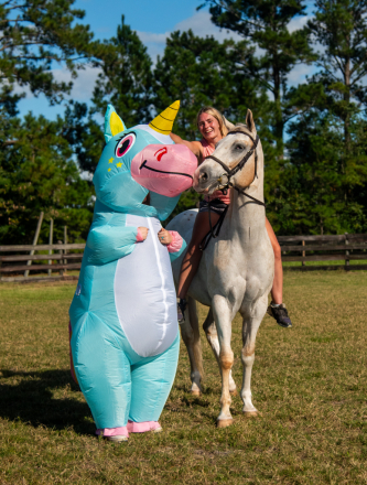 HorseID: 2304788 Gold Rush - the all around. X-rays on file - PhotoID: 1087839