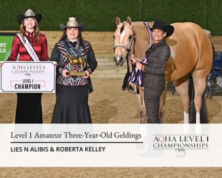 HorseID: 2304798 Lies N Alibis - MULTI WORLD CHAMPION - PhotoID: 1087856