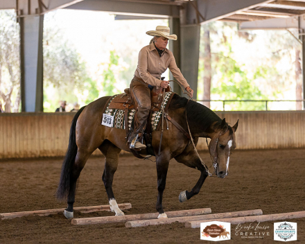 HorseID: 2304805 Lena’s lil Roughneck - PhotoID: 1087868