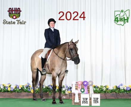 HorseID: 2304843 Bar J Mark Me Fancy - PhotoID: 1087902