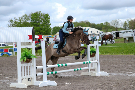 HorseID: 2304843 Bar J Mark Me Fancy - PhotoID: 1087903
