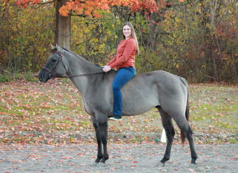 HorseID: 2304843 Bar J Mark Me Fancy - PhotoID: 1087905