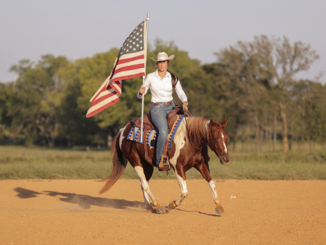 HorseID: 2304851 Shiney Cat - PhotoID: 1087919