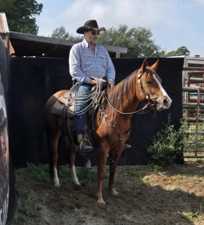 HorseID: 2304894 The Complete Performance Horse Prospect Package! - PhotoID: 1087989