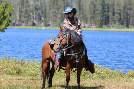 HorseID: 2304901 As You Wish Merida - PhotoID: 1088071