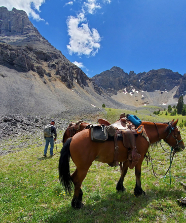 HorseID: 2304901 As You Wish Merida - PhotoID: 1088072