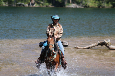 HorseID: 2304901 As You Wish Merida - PhotoID: 1088073