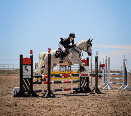 HorseID: 2304910 FW Blue Moon - PhotoID: 1088017