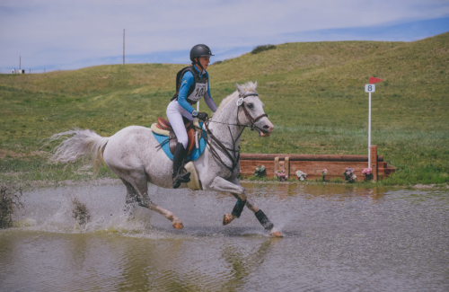 HorseID: 2304910 FW Blue Moon - PhotoID: 1088018