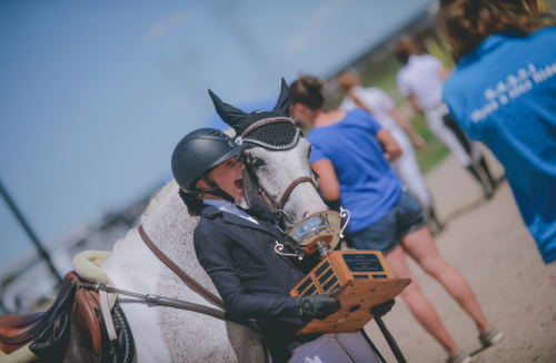 HorseID: 2304910 FW Blue Moon - PhotoID: 1088020