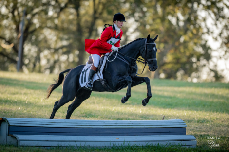 HorseID: 2304931 Southwestern Hope - PhotoID: 1088036