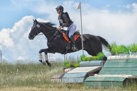 HorseID: 2304931 Southwestern Hope - PhotoID: 1088037