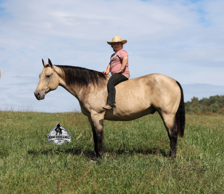 HorseID: 2304974 Canyon - PhotoID: 1088125