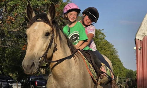 HorseID: 2304978 Buck - PhotoID: 1088105