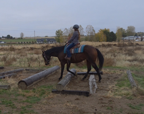 HorseID: 2304986 Twenty Twenty Escape - PhotoID: 1088116