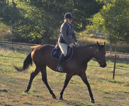 HorseID: 2304986 Twenty Twenty Escape - PhotoID: 1088118