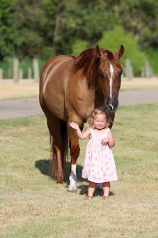 HorseID: 2306083 GINGER ALE - PhotoID: 1098287