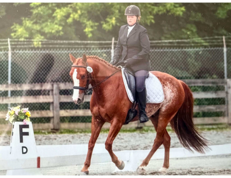 HorseID: 2306388 TALKIN ABOUT SMART - PhotoID: 1099647