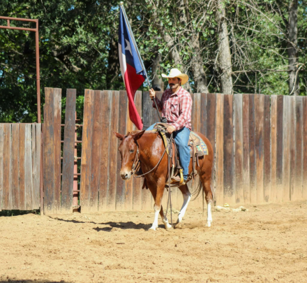 HorseID: 2308121 12 GAUGE - PhotoID: 1096964