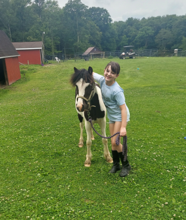 HorseID: 2313706 Juniper - PhotoID: 1099215