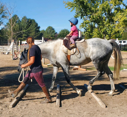 HorseID: 2315908 Gracie - PhotoID: 1102186