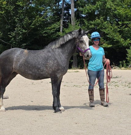 HorseID: 2316101 CAVU Arvid - PhotoID: 1108132