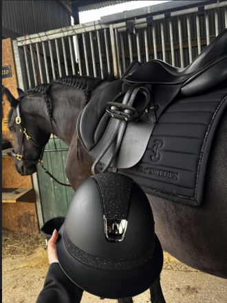 HorseID: 2318570 Maverick - PhotoID: 1107517