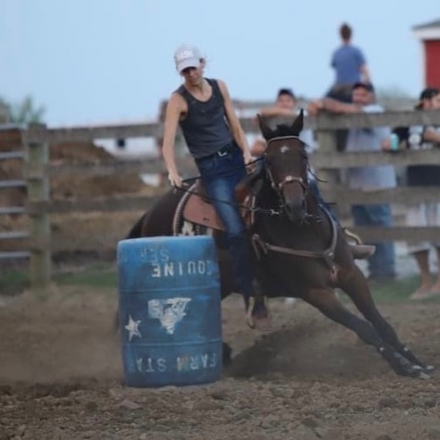 HorseID: 2319535 LC MS Tweedy Dee - PhotoID: 1106896