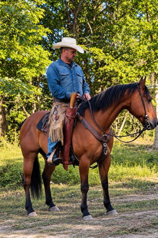 HorseID: 2319910 Super Broke Safe Buckskin Gelding - PhotoID: 1107362
