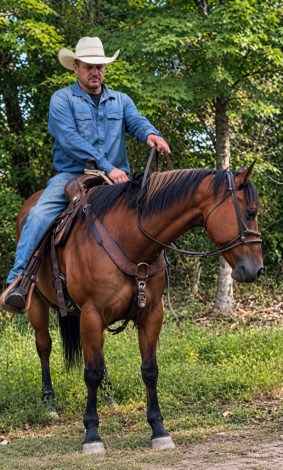 HorseID: 2319910 Super Broke Safe Buckskin Gelding - PhotoID: 1107364