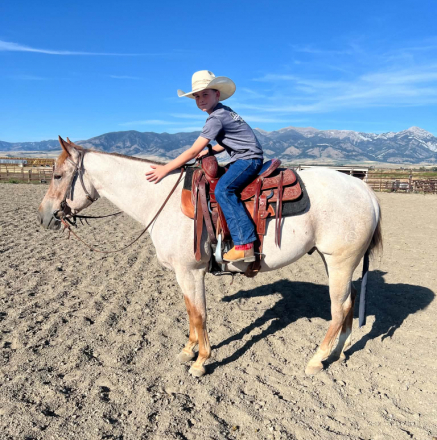 HorseID: 2319969 Smooth N Malicious - PhotoID: 1107435