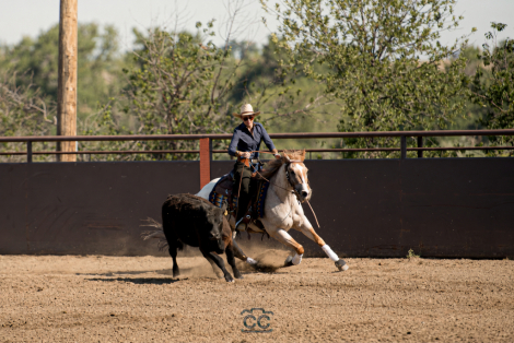 HorseID: 2319969 Smooth N Malicious - PhotoID: 1107436