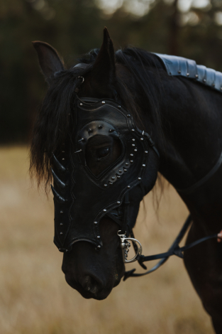 HorseID: 2319980 Ivar - PhotoID: 1107444