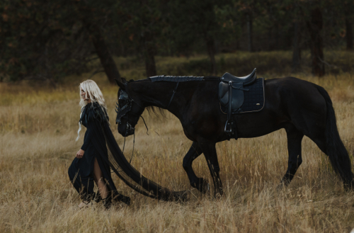 HorseID: 2319980 Ivar - PhotoID: 1107446
