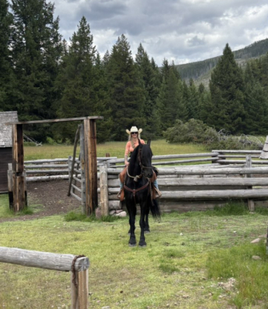 HorseID: 2319980 Ivar - PhotoID: 1107447