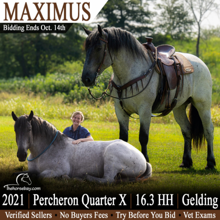 Maximus
