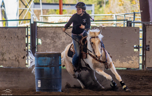 HorseID: 2320084 Glory Hopes You Dance - PhotoID: 1107523