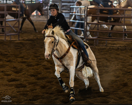 HorseID: 2320084 Glory Hopes You Dance - PhotoID: 1107524