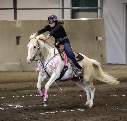 HorseID: 2320084 Glory Hopes You Dance - PhotoID: 1107526