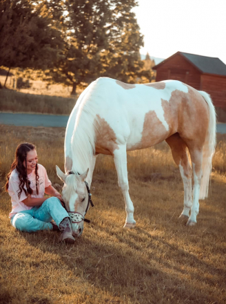 HorseID: 2320084 Glory Hopes You Dance - PhotoID: 1107527