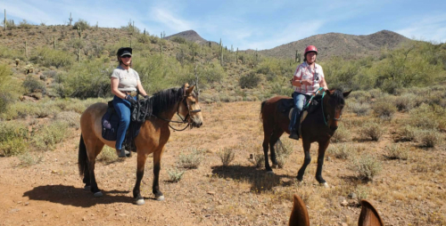 HorseID: 2320128 Pya - PhotoID: 1107590