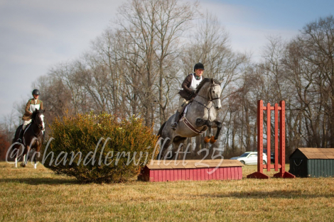 HorseID: 2320169 Northern Rye - PhotoID: 1107607