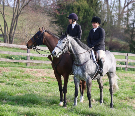 HorseID: 2320169 Northern Rye - PhotoID: 1107608