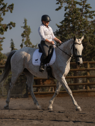 HorseID: 2320231 Fun Paddy - PhotoID: 1107669