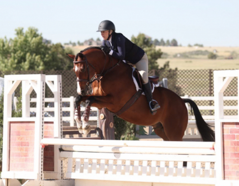 HorseID: 2320336 Luke - PhotoID: 1107790