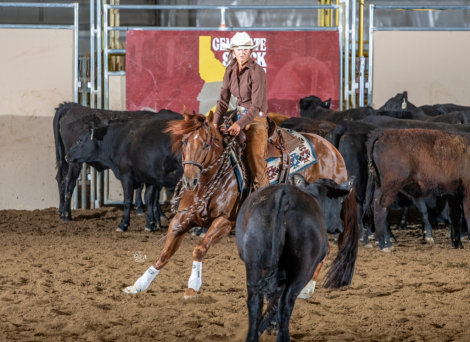 HorseID: 2320377 RTR Red Hot Class - PhotoID: 1107833