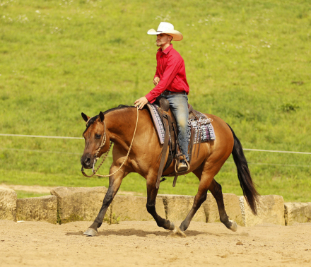 HorseID: 2320397 Smooth As Ice - PhotoID: 1107851