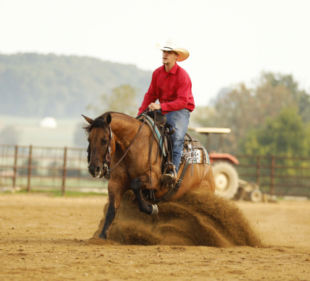 HorseID: 2320397 Smooth As Ice - PhotoID: 1107852