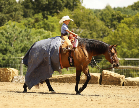 HorseID: 2320397 Smooth As Ice - PhotoID: 1107854