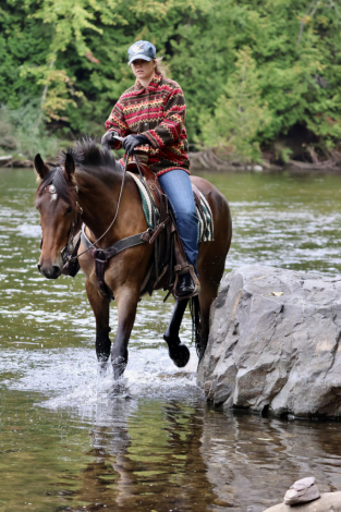 HorseID: 2320421 Work It Out With My Charm - PhotoID: 1107887